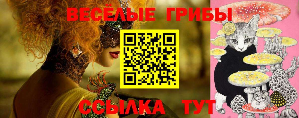 Псилоцибиновые грибы мухоморы Урус-Мартан